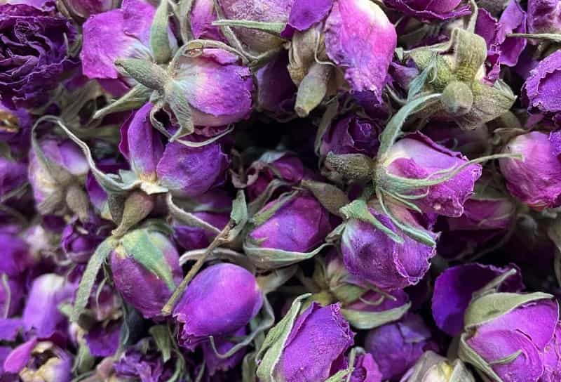 قیمت خرید غنچه گل محمدی خشک با فروش عمده